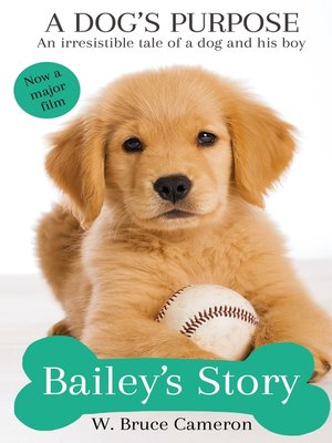 cover image of Bailey's Story